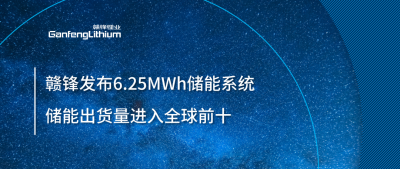 ESIE2025圓滿收官！贛鋒全新6.25MWh儲能系統(tǒng)成焦點(diǎn)，儲能出貨量進(jìn)入全球前十